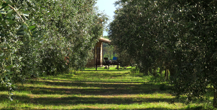 COUNTRY HOUSE LE SORGENTI